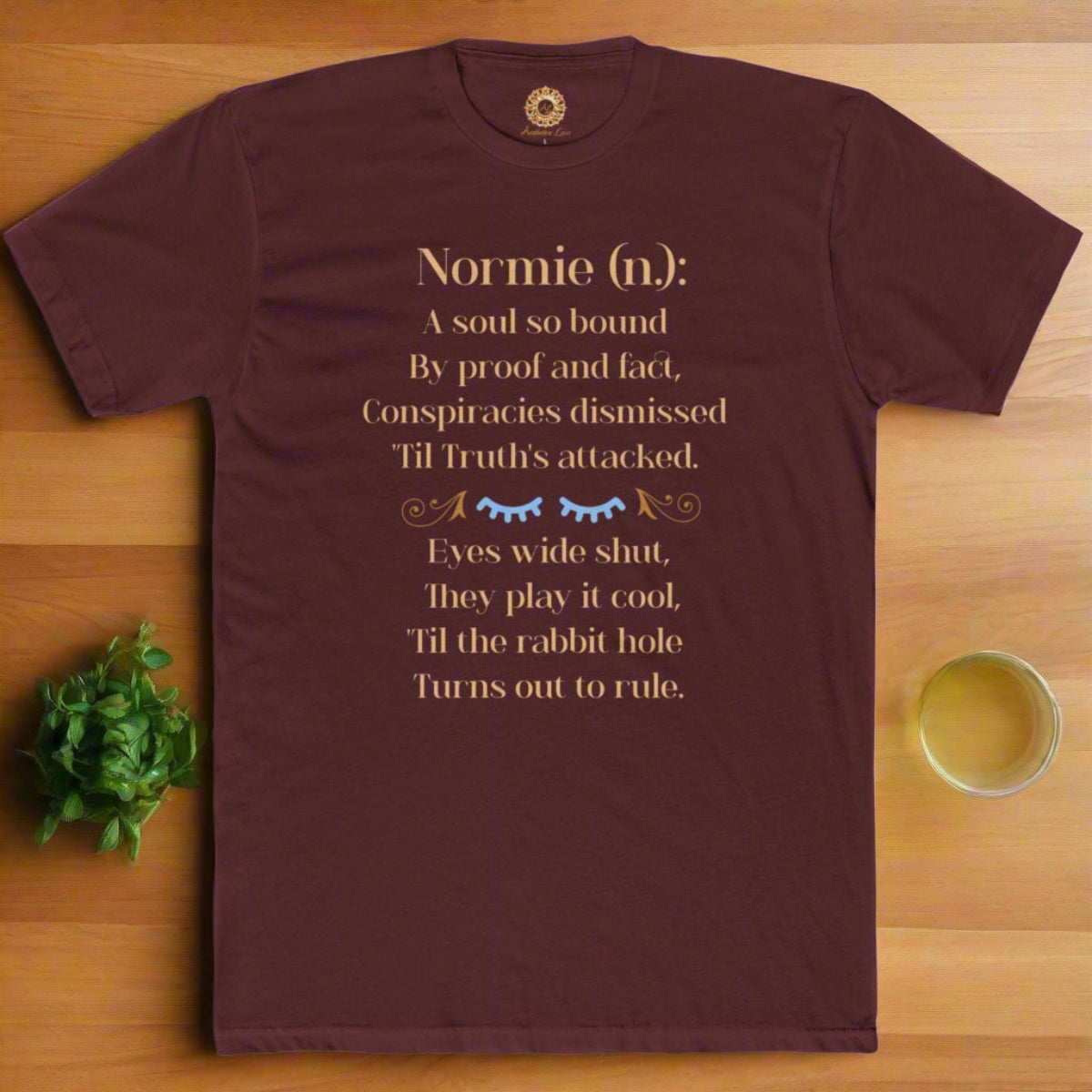 Funny Normie Definition Tee