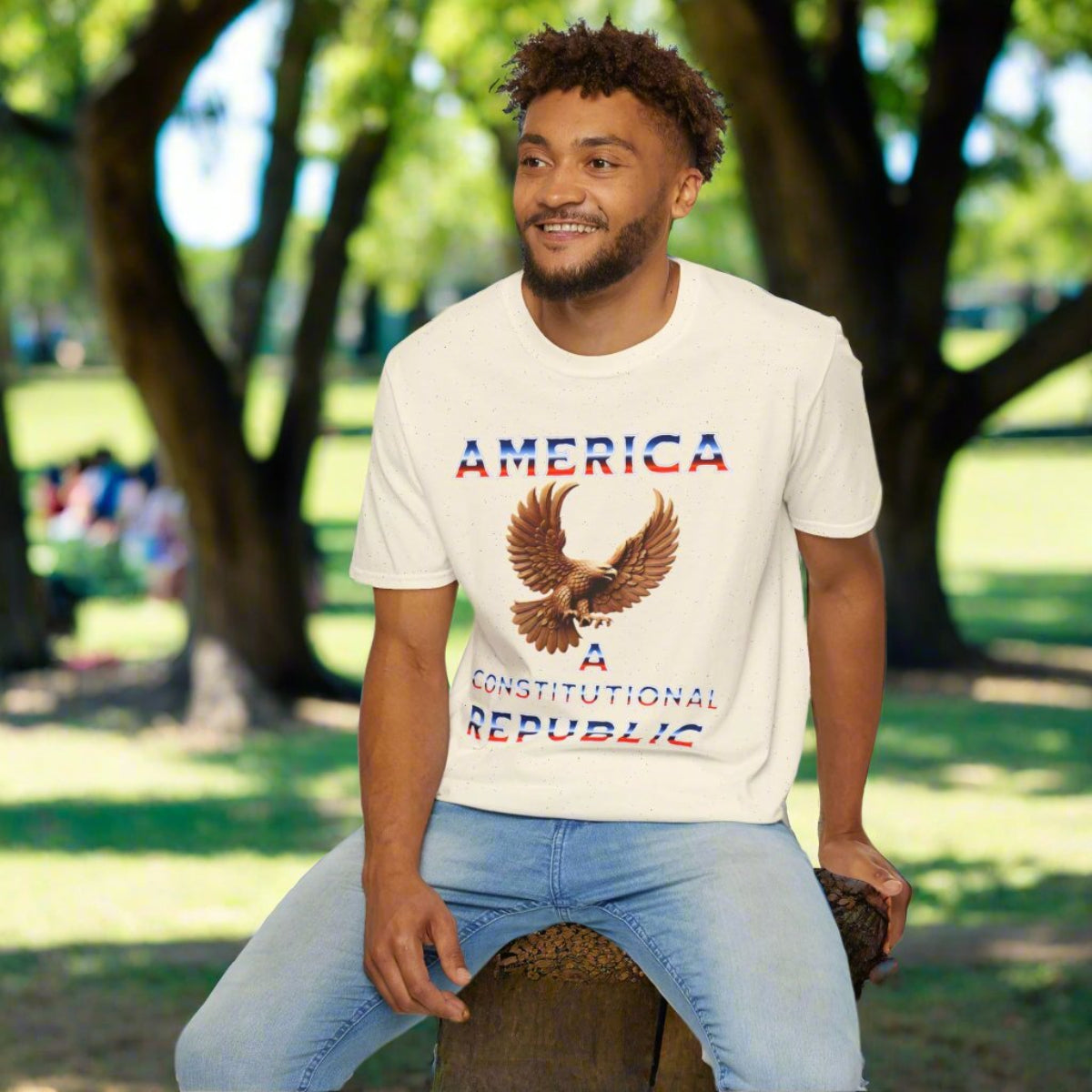 America: A Constitutional Republic Unisex Softstyle T-Shirt